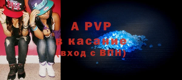 сатива Вяземский