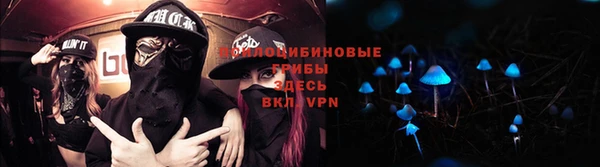винт Володарск