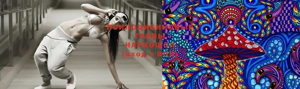 сатива Вяземский
