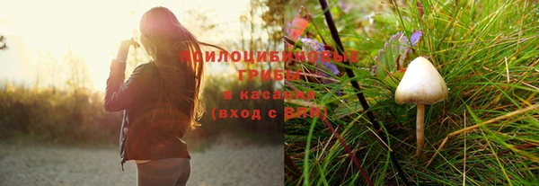 спиды Волосово
