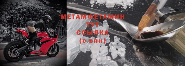 сатива Вяземский