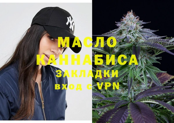сатива Вяземский