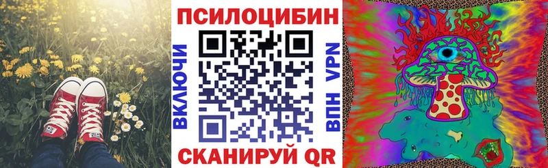 KRAKEN ссылка Лихославль Галлюциногенные грибы прущие грибы
